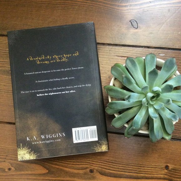 Signed Special Edition Hardcover: BLIND THE EYES (Threads of Dreams, 1) YA UF - Picture 2 of 2